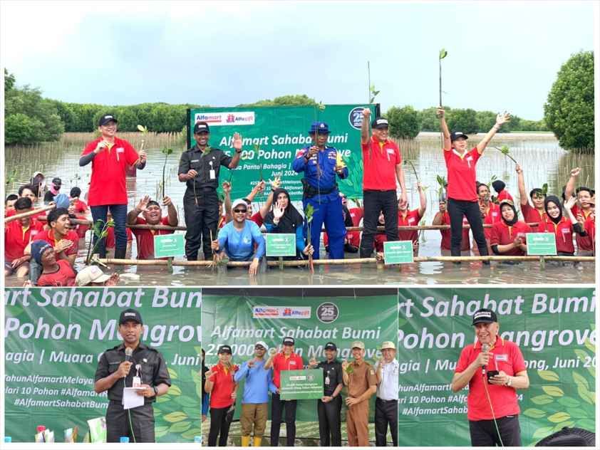 Program CSR/TJSLP : Alfamart 25.000 Pohon Mangrove di Muaragembong