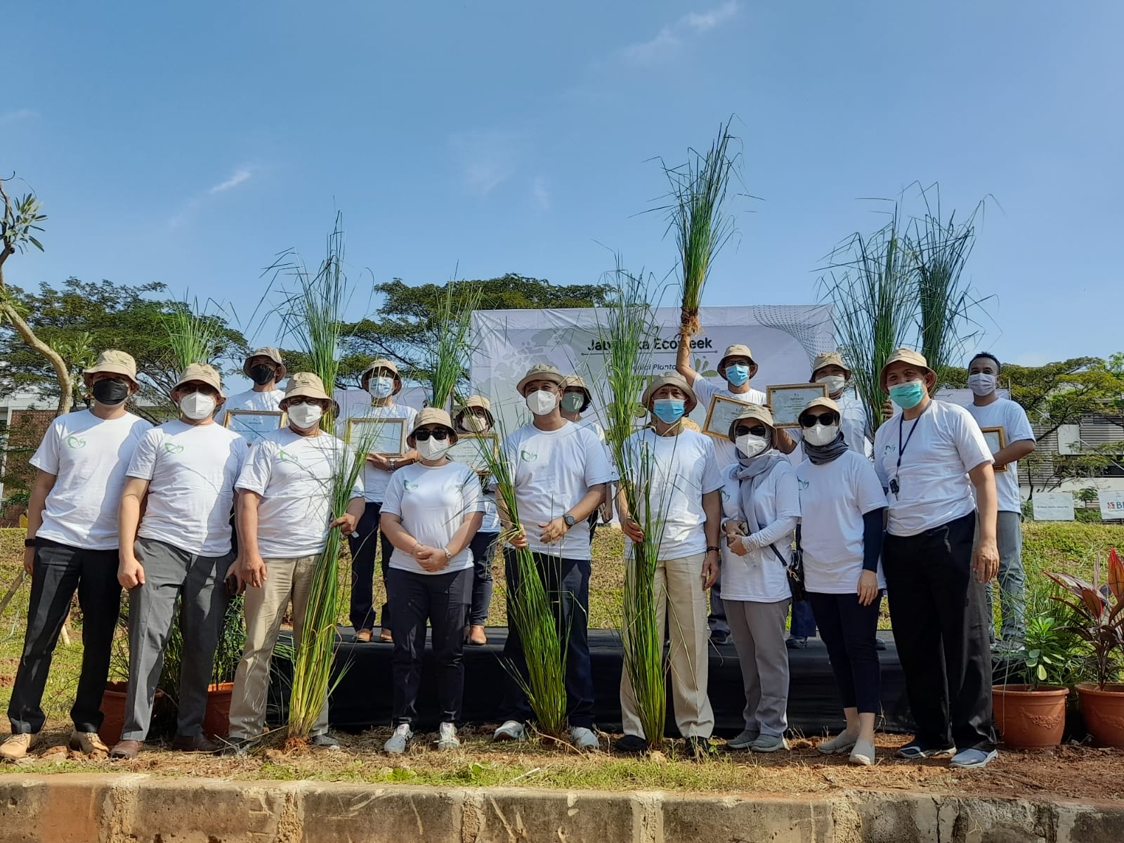 Penghijauan Sistem Vetiver