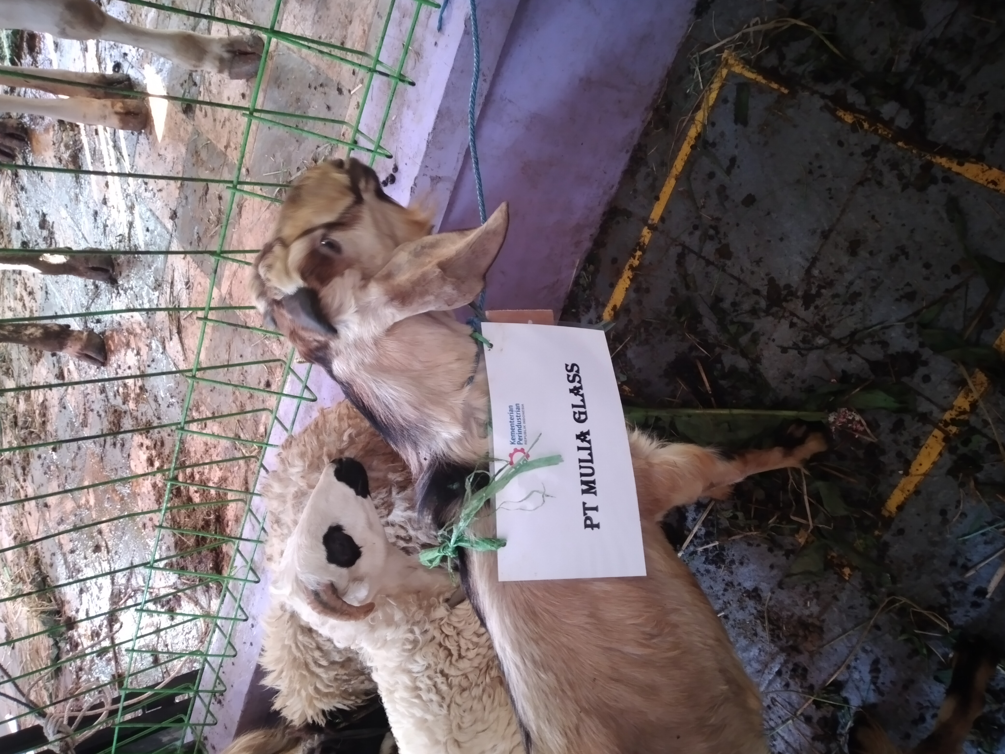 Dokumentasi Kegiatan
