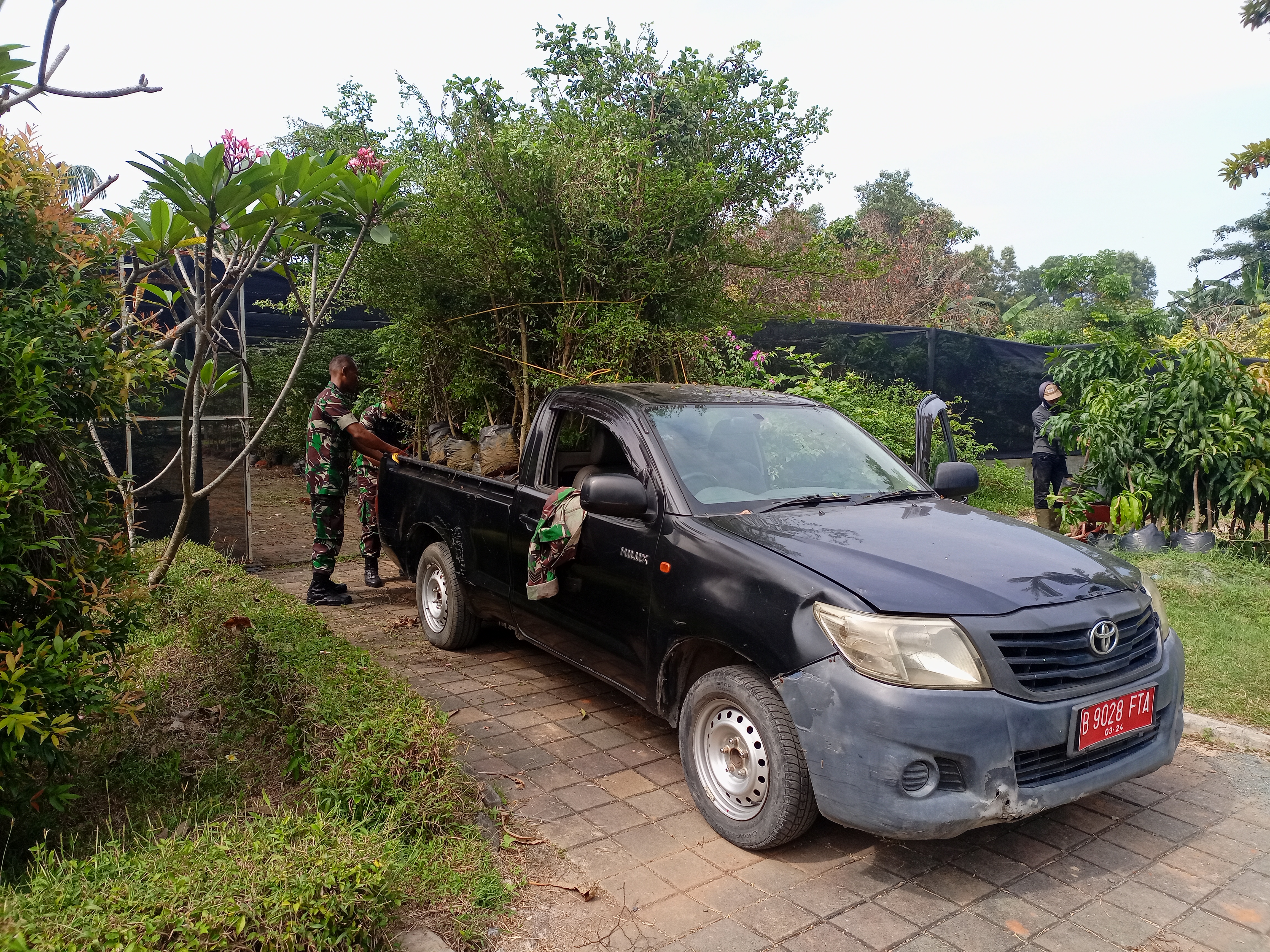 Bantuan 100 Pohon Peneduh Untuk Kodim 0509