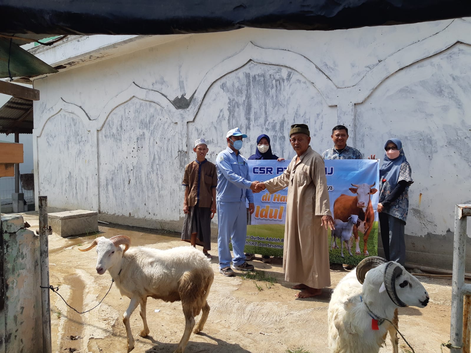 PEMBAGIAN HEWAN QURBAN