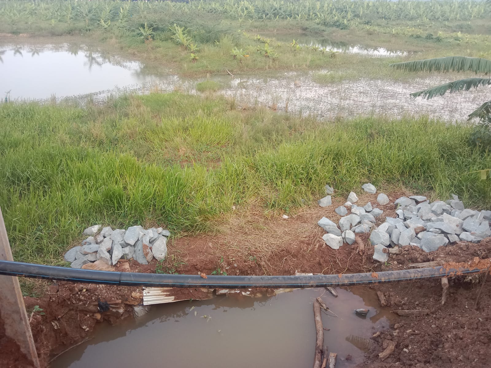 Dokumentasi Kegiatan