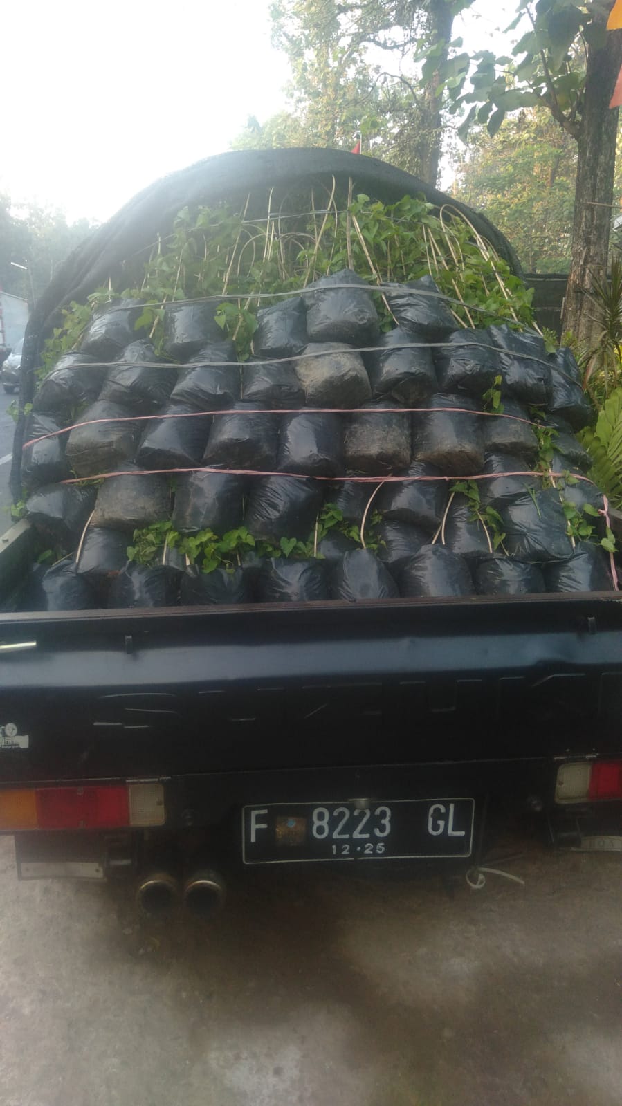 Dokumentasi Kegiatan