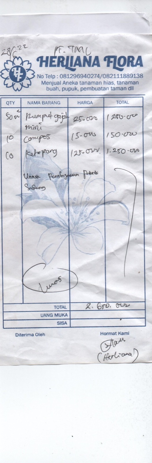 TML - Penyediaan tanaman untuk penghijauan pabrik oleh HERLIANA FLORA