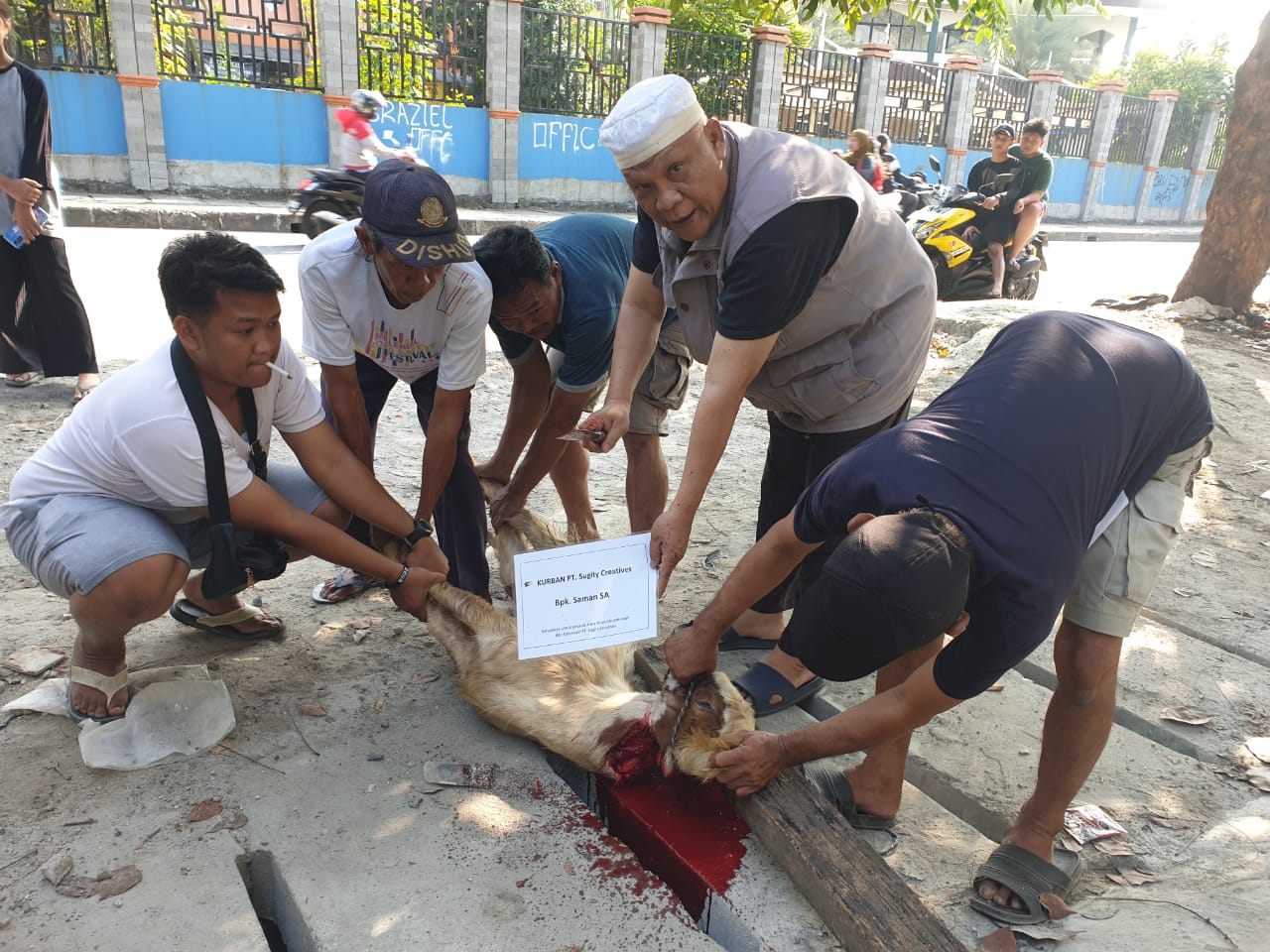 Serah terima Hewan Kurban