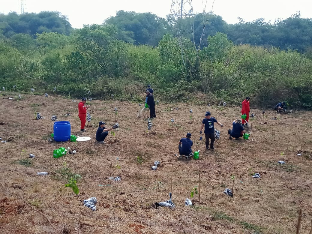 Penanaman pohon disekitar bantaran kali cipamingkis