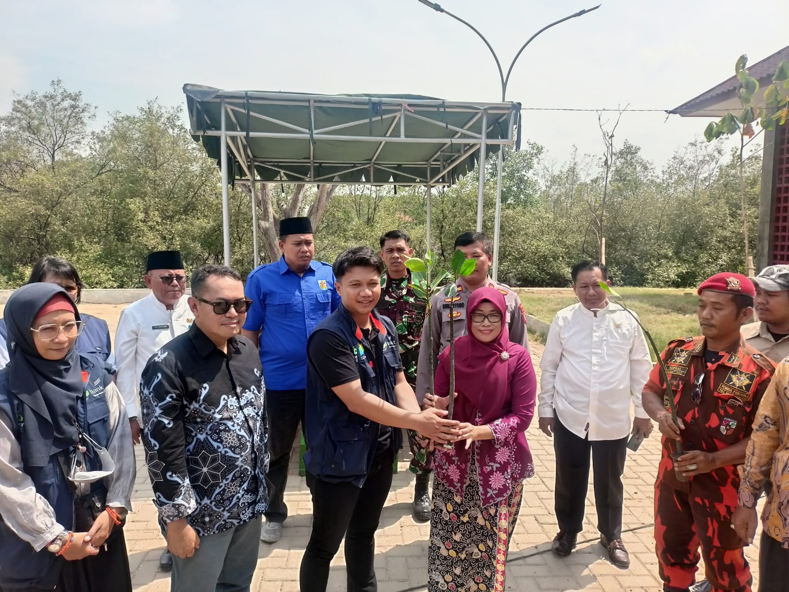 Penanaman 250 pohon manggrove