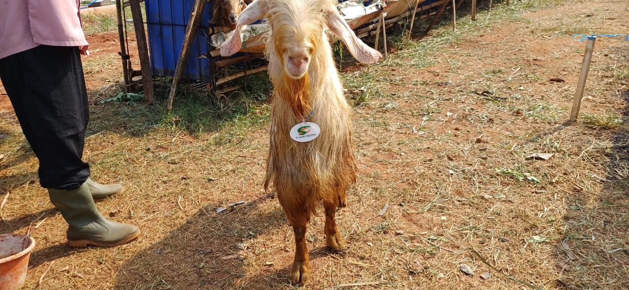 Dokumentasi Kegiatan