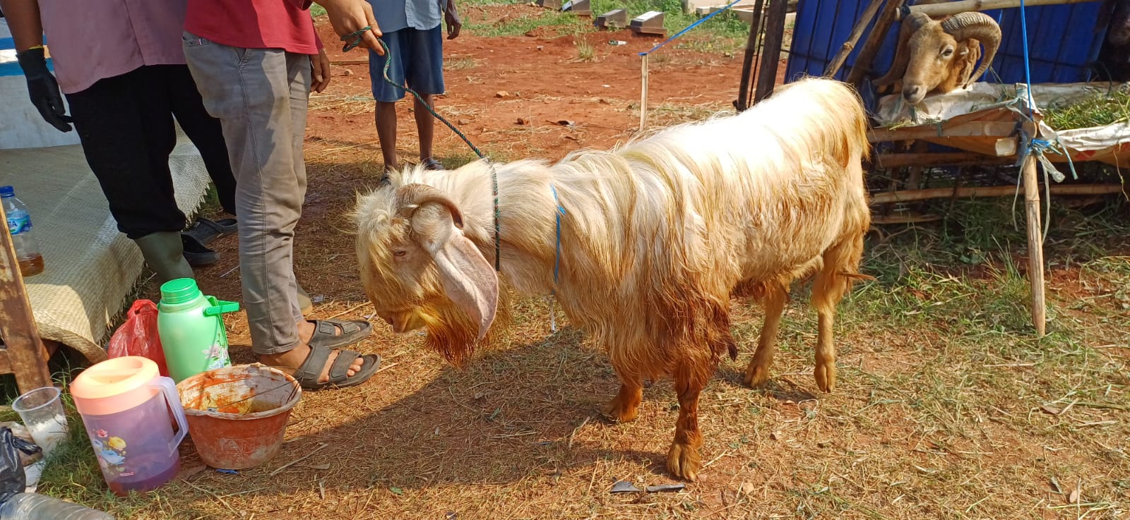Dokumentasi Kegiatan