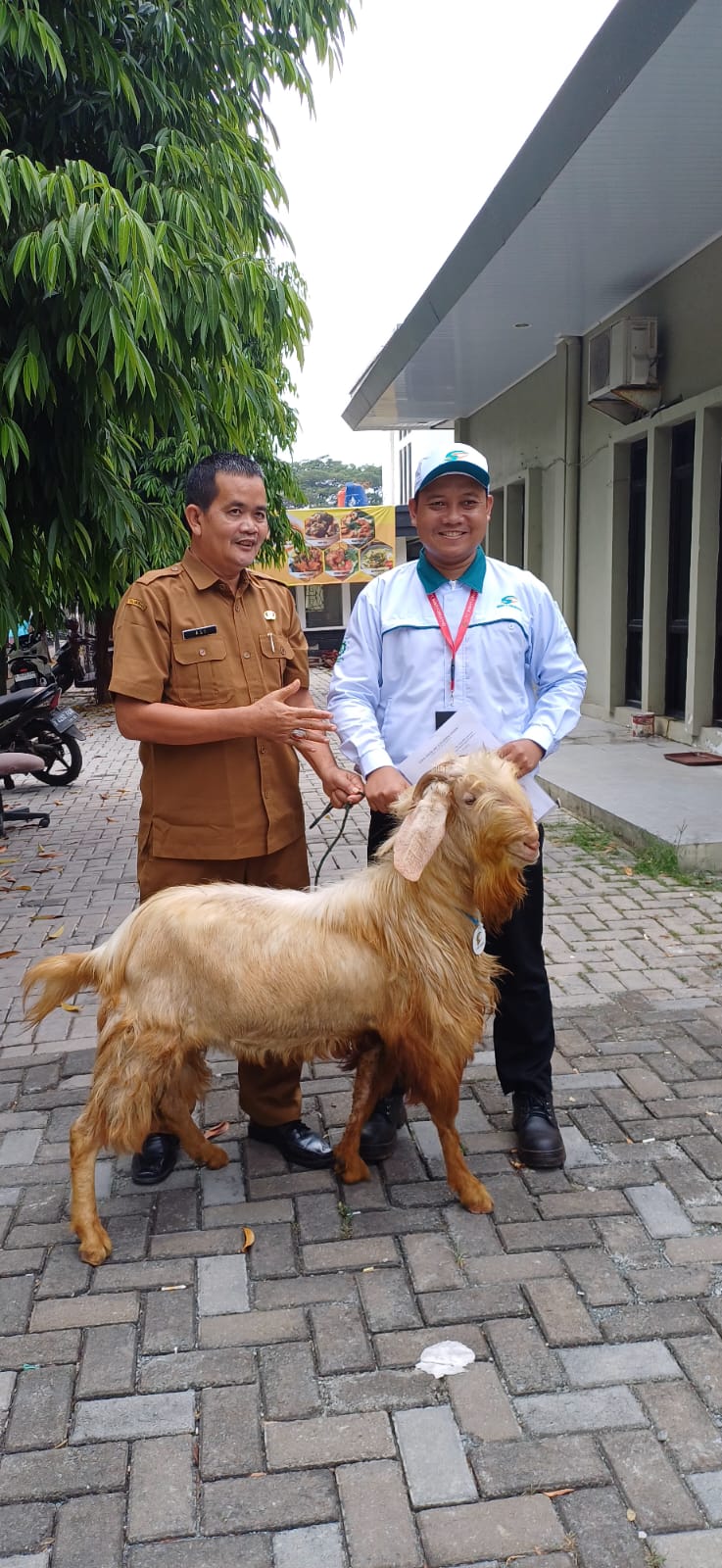 Donasi hewan Kurban Tahun 2024 Pemda