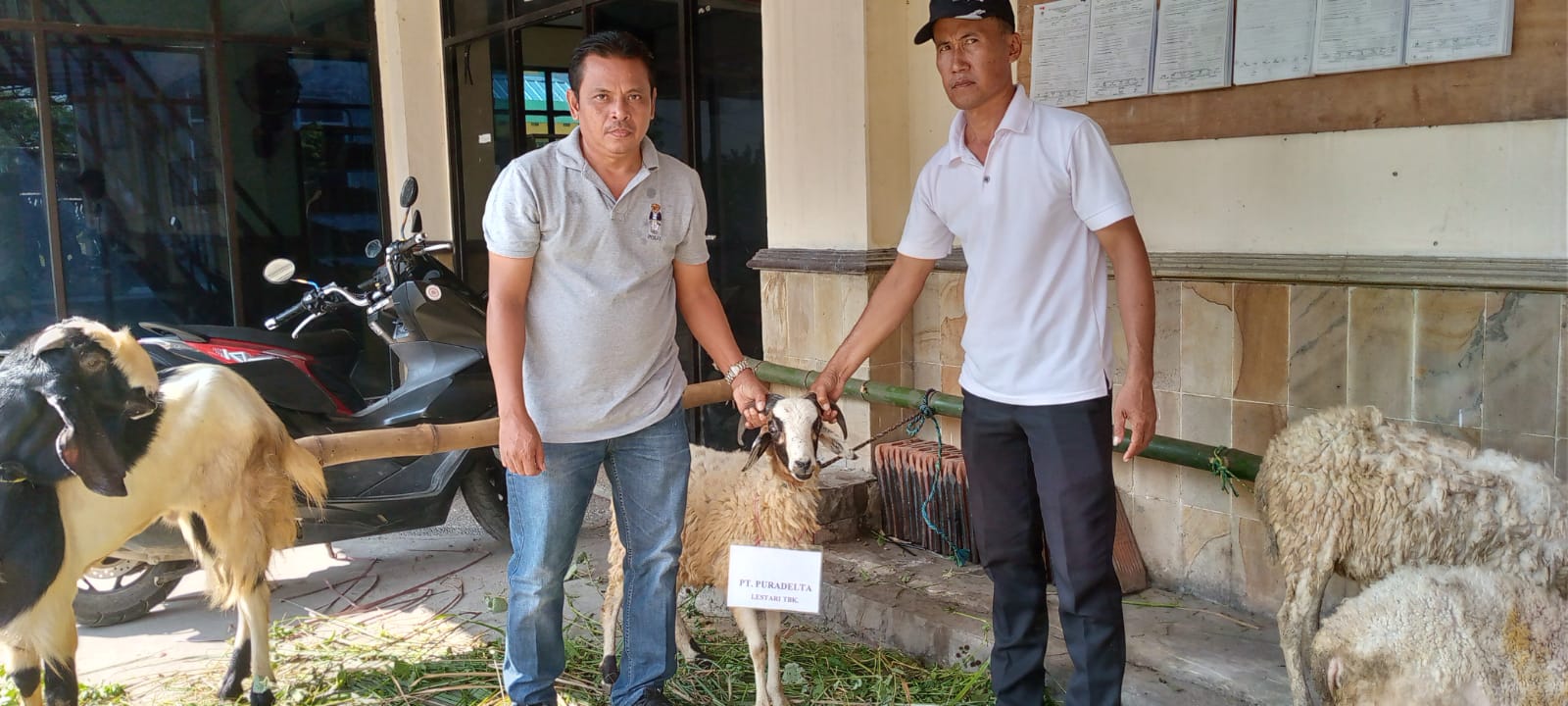 Dokumentasi Kegiatan