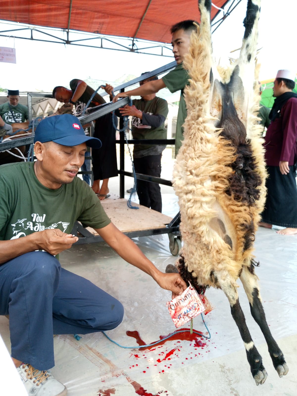 Dokumentasi Kegiatan