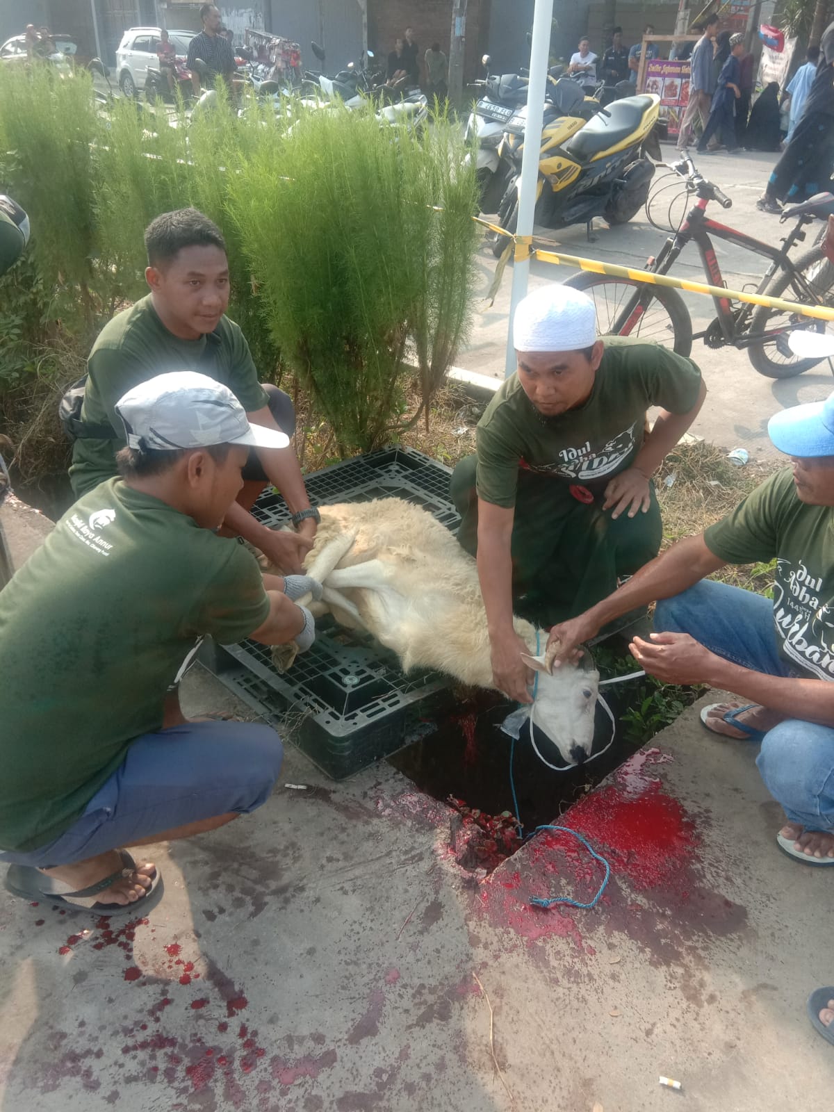 Dokumentasi Kegiatan