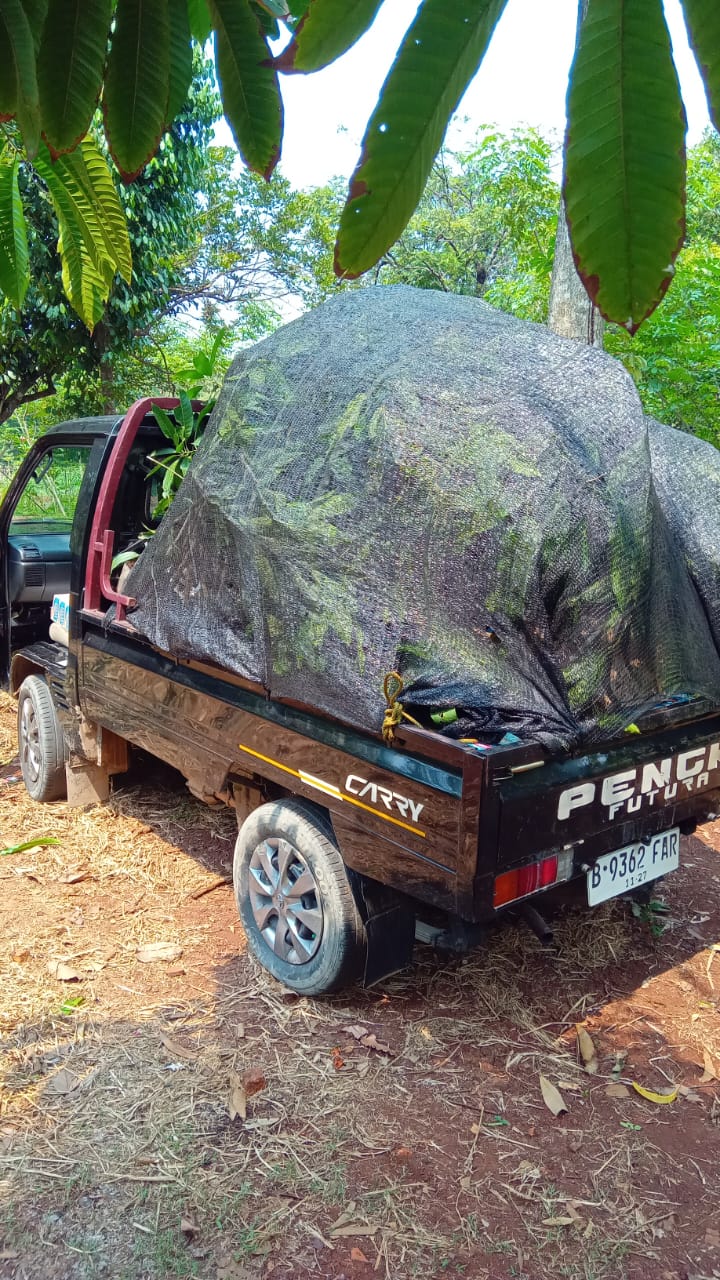 Dokumentasi Kegiatan