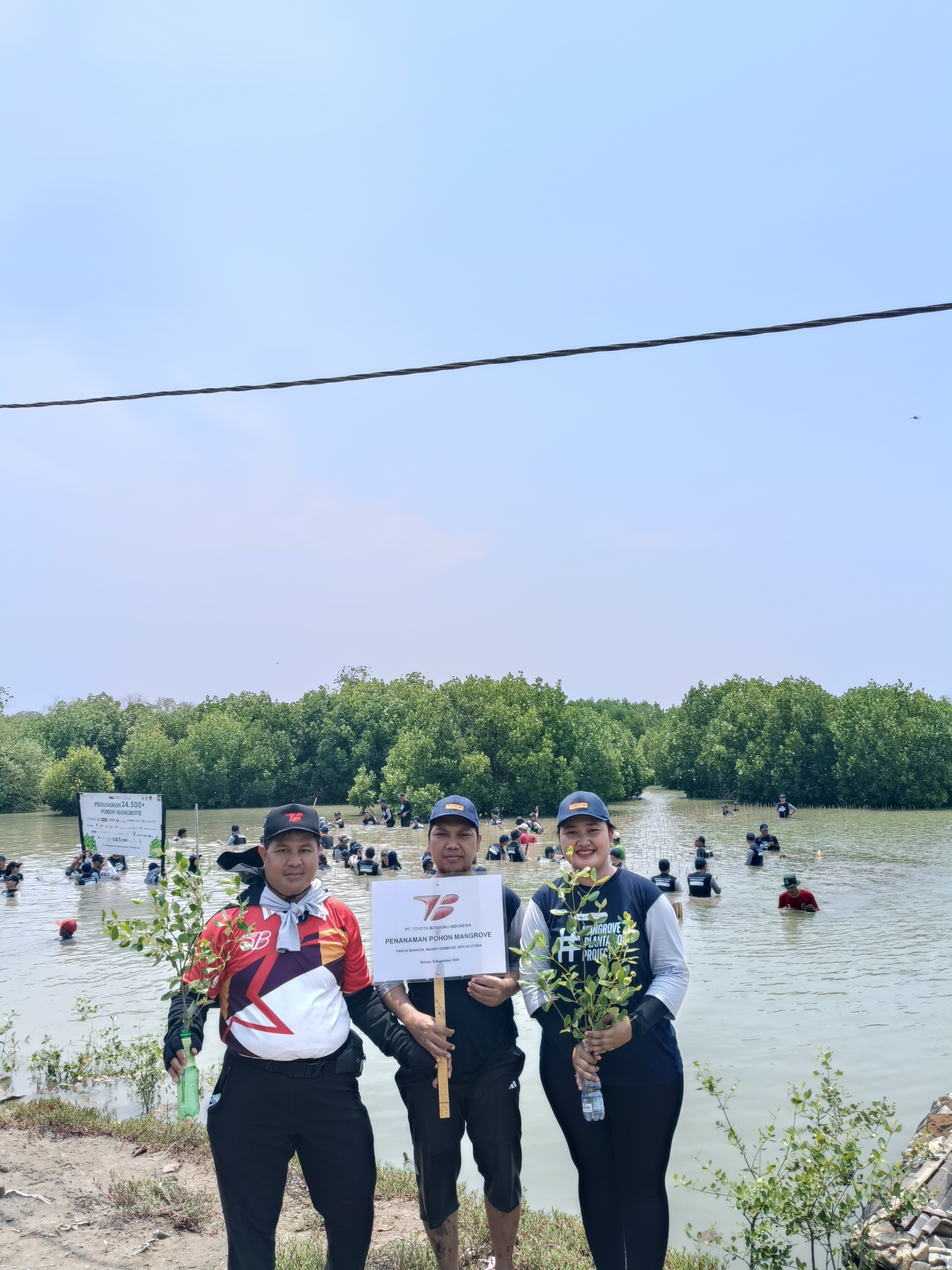 CSR Penanaman 1.000 Bibit Pohon Mangrove