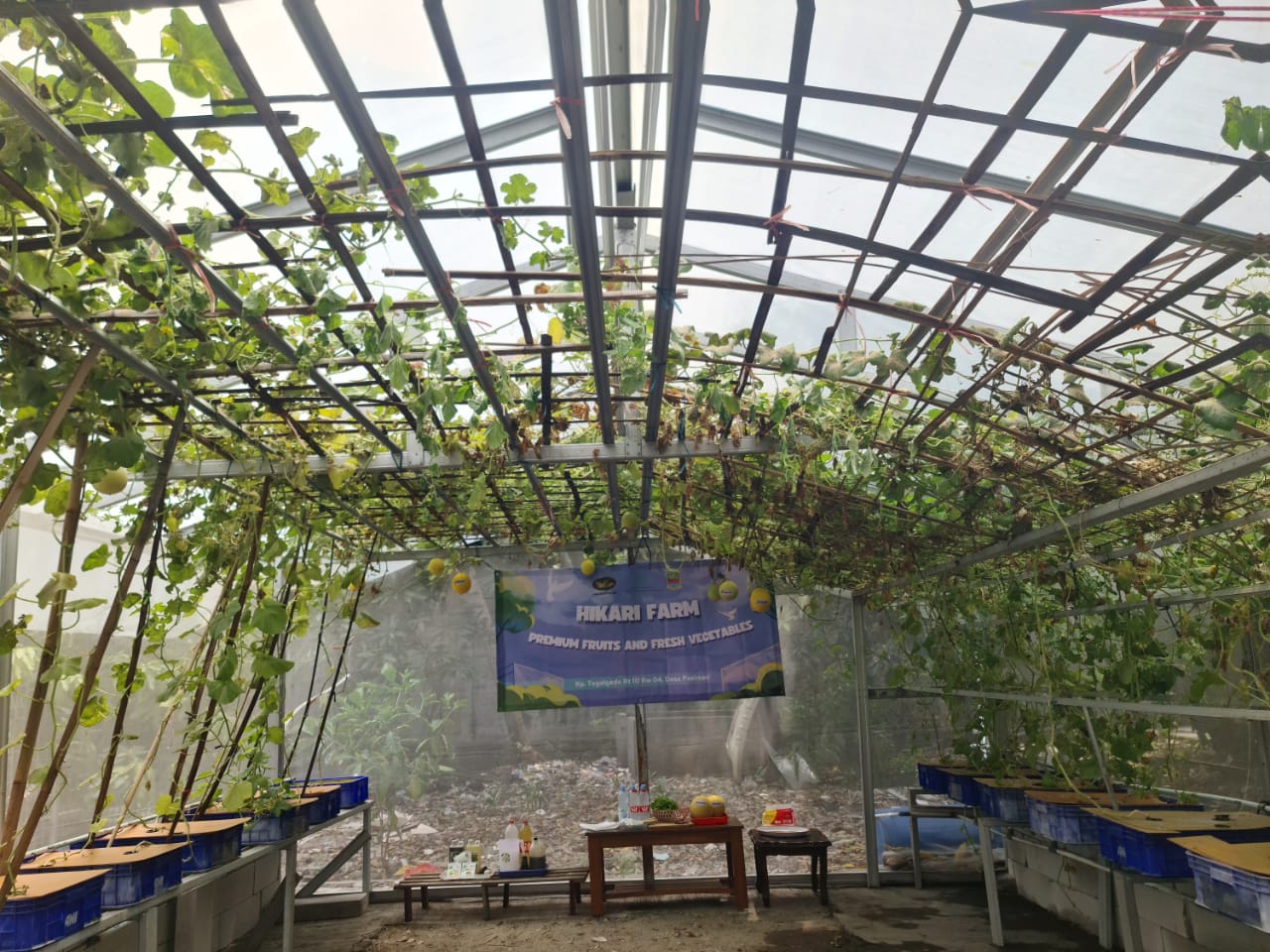 Dokumentasi Kegiatan