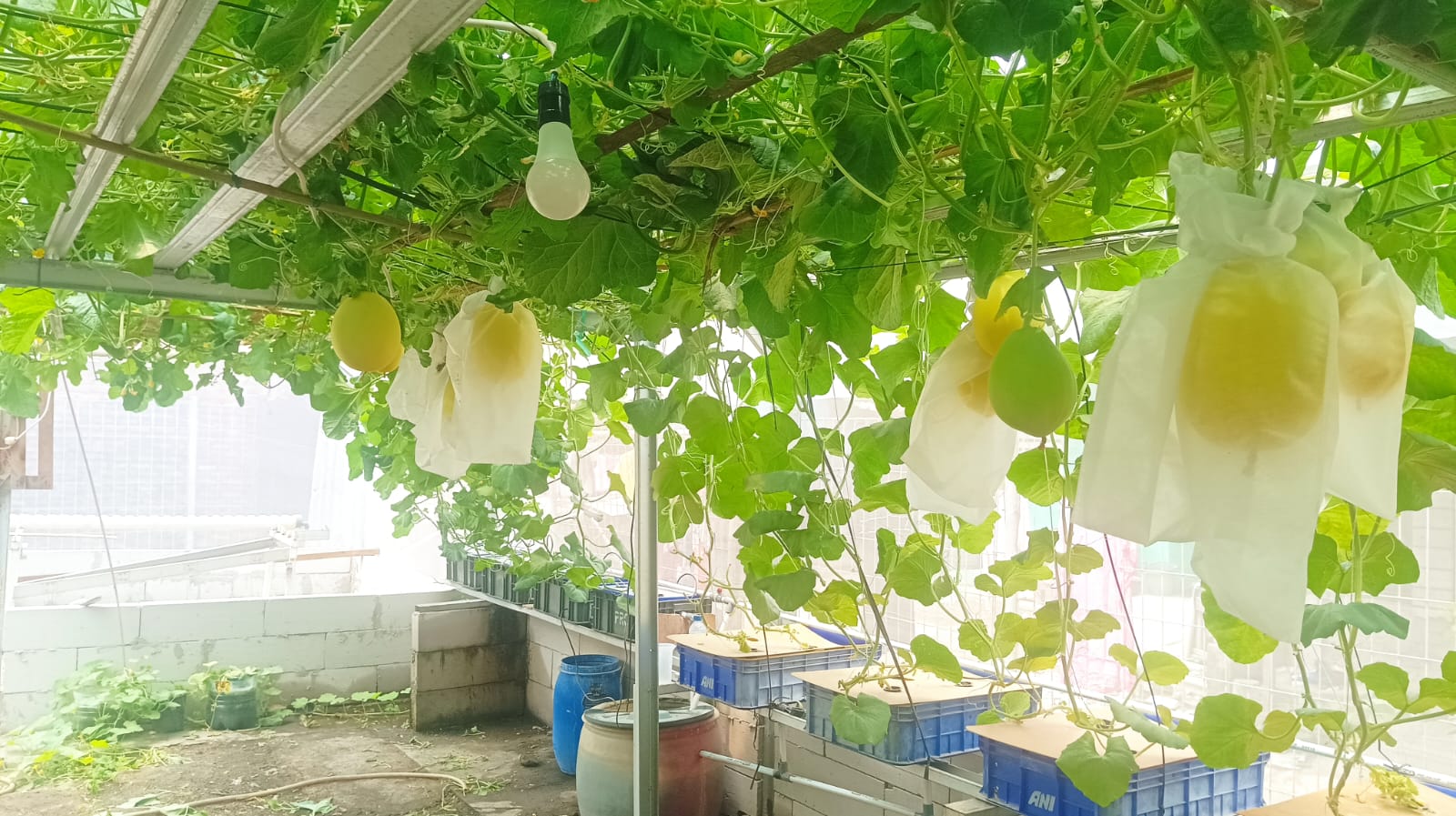Dokumentasi Kegiatan