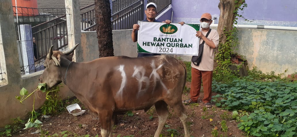 Dokumentasi Kegiatan