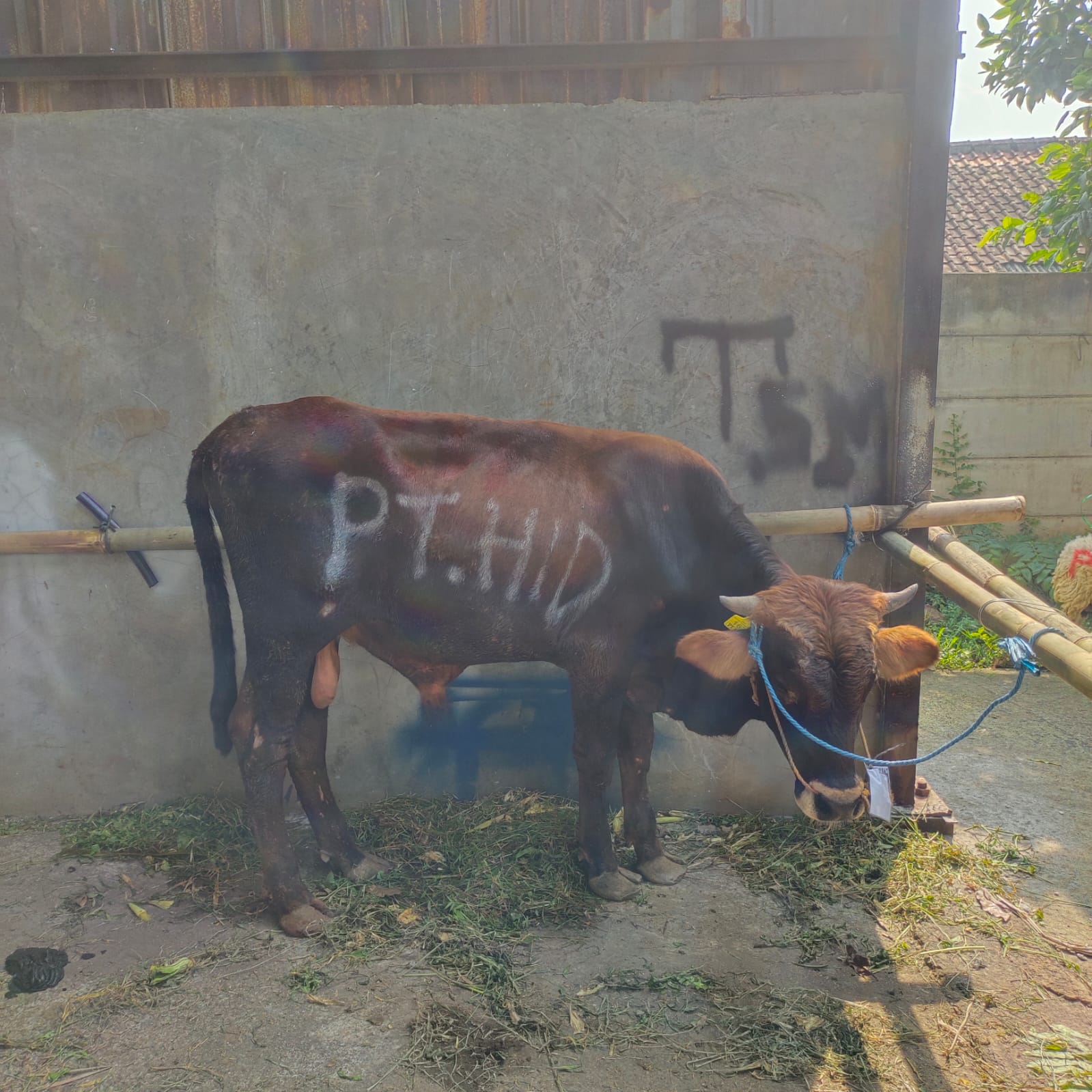 Dokumentasi Kegiatan
