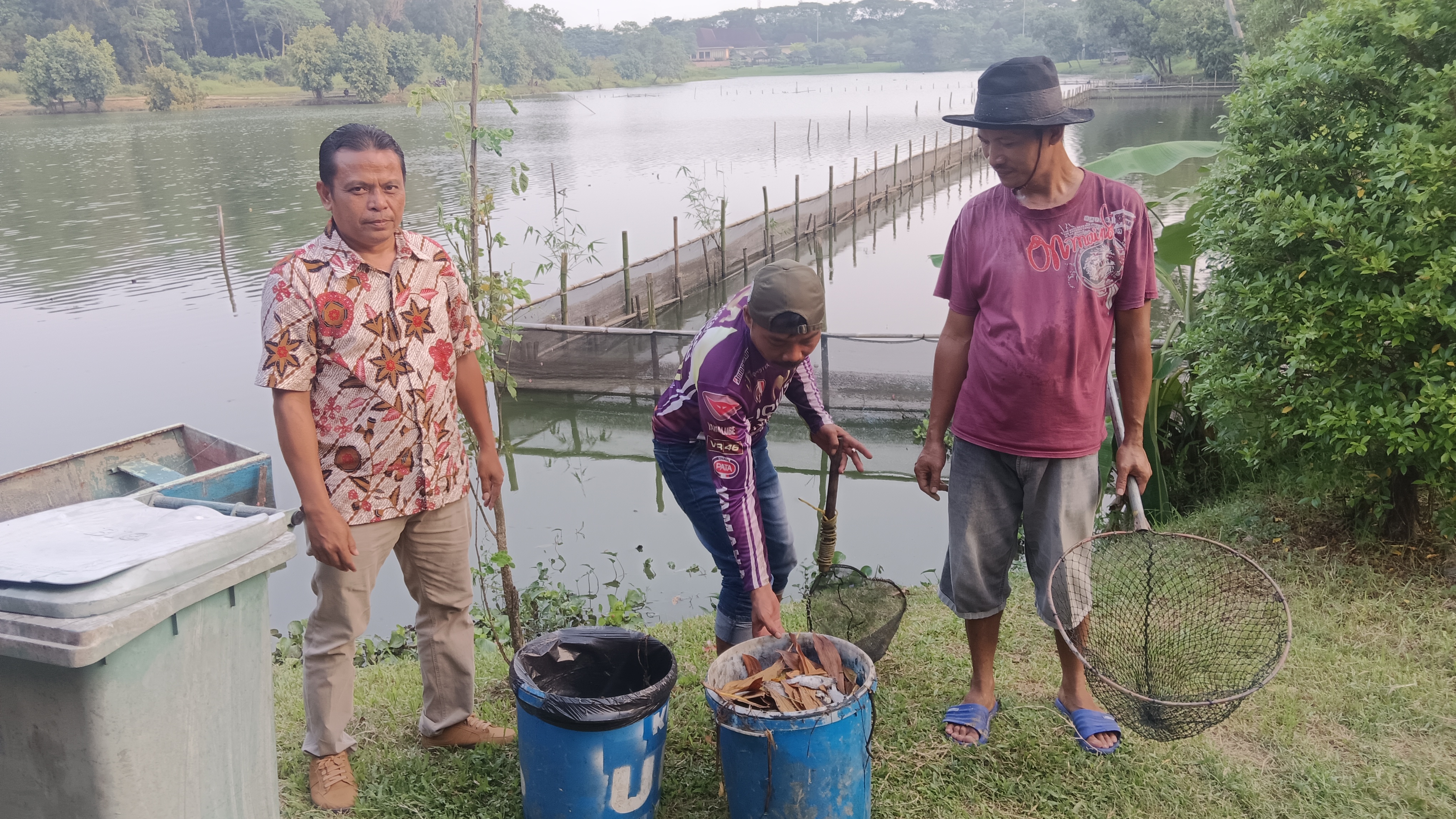 Pengangkatan ikan mati
