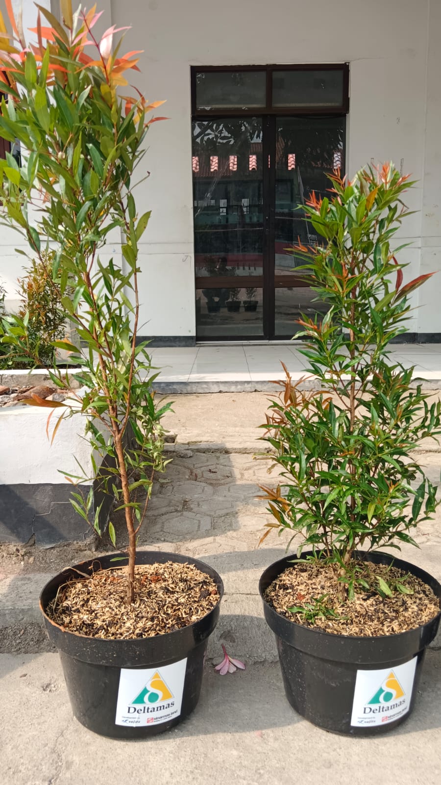 Dokumentasi Kegiatan