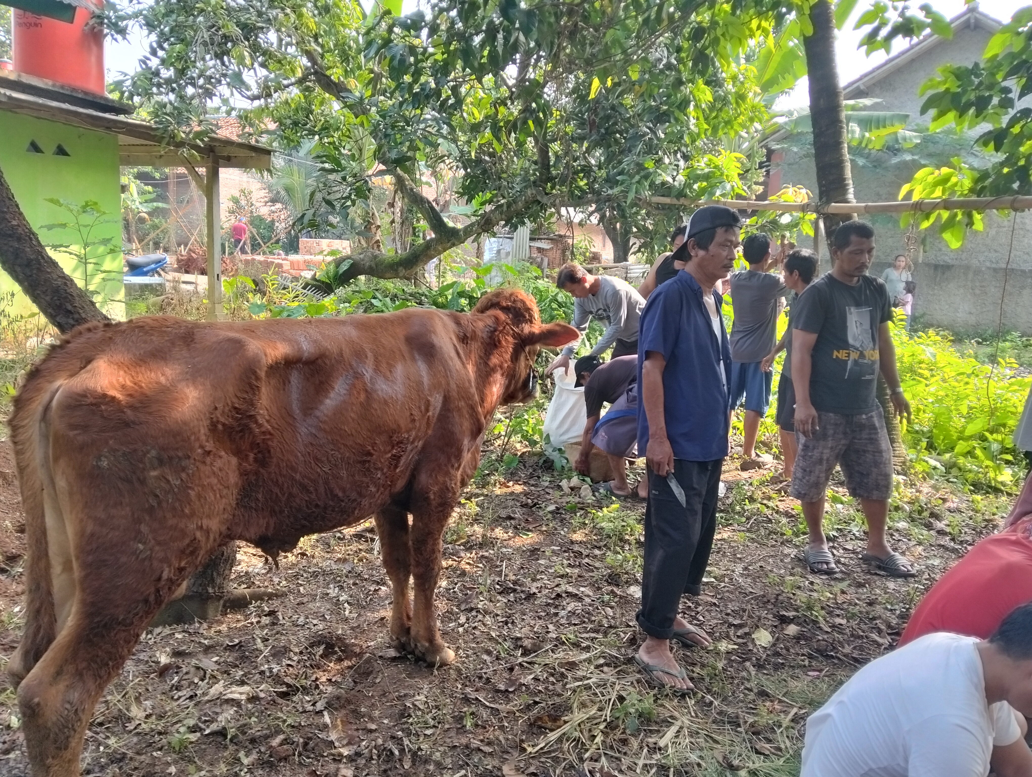Dokumentasi Kegiatan