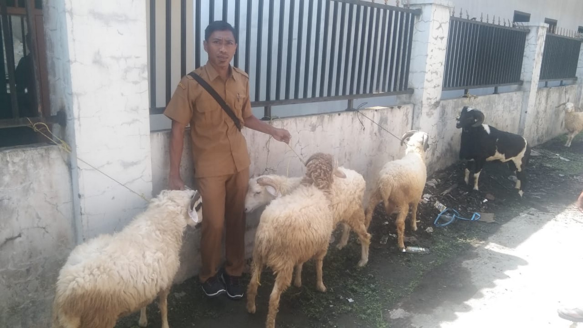 Dokumentasi Kegiatan