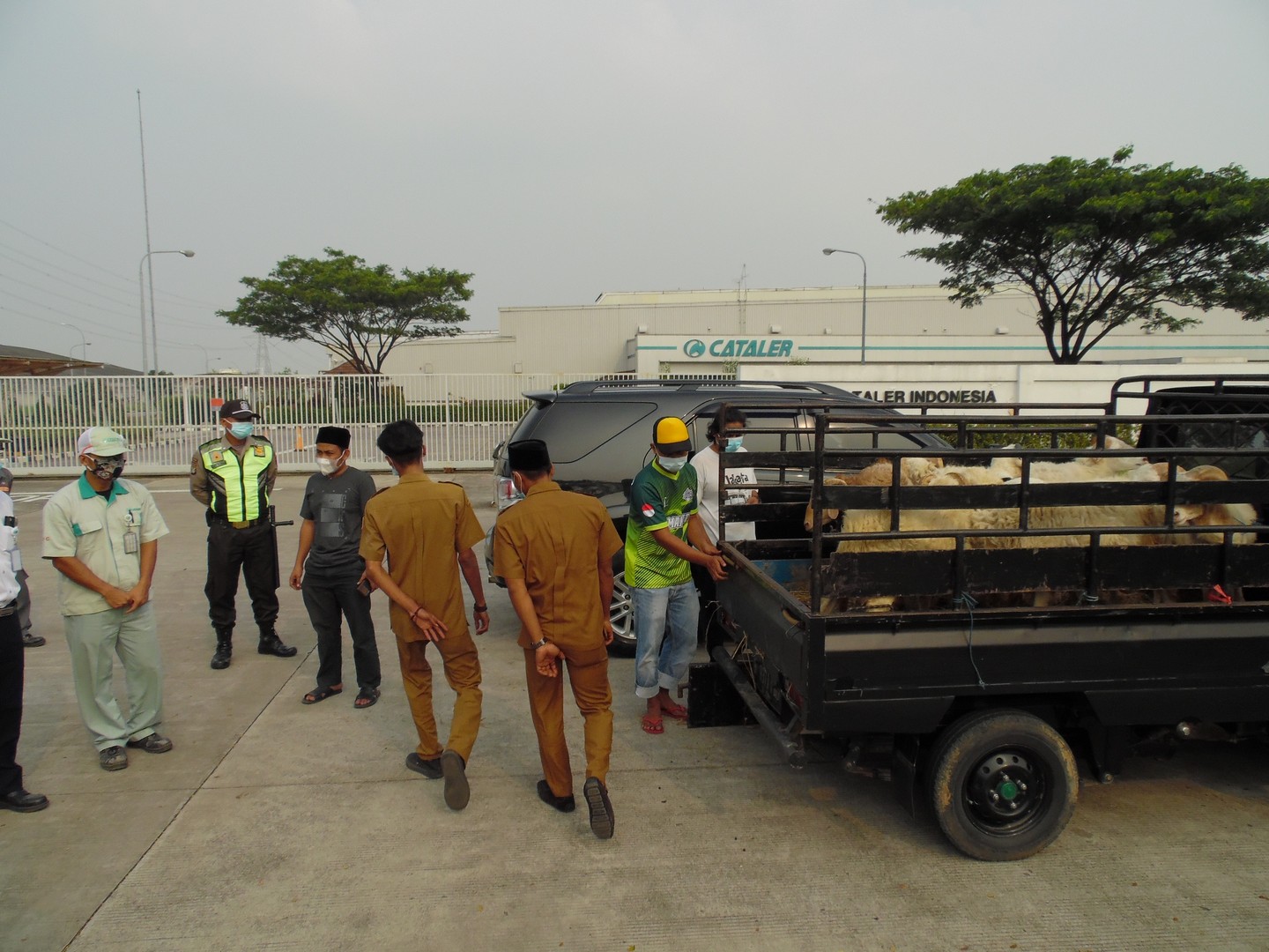 Bantuan Hewan Qurban