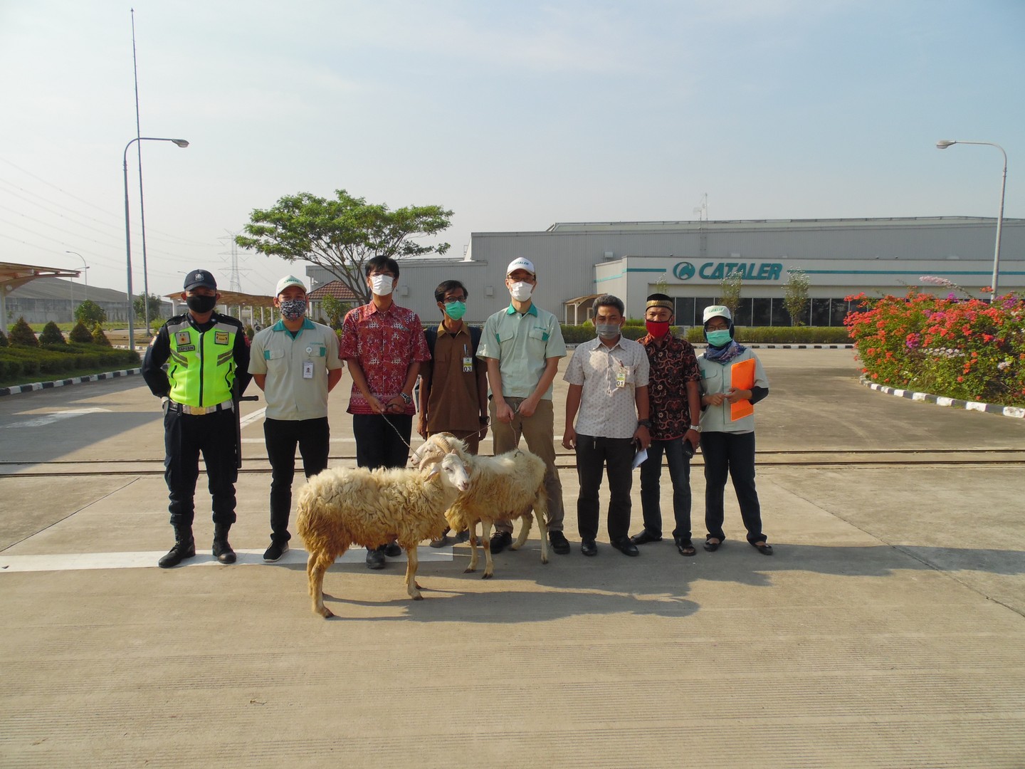 Bantuan Hewan Qurban