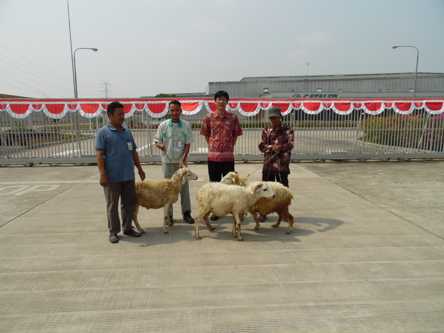 Bantuan Hewan Qurban