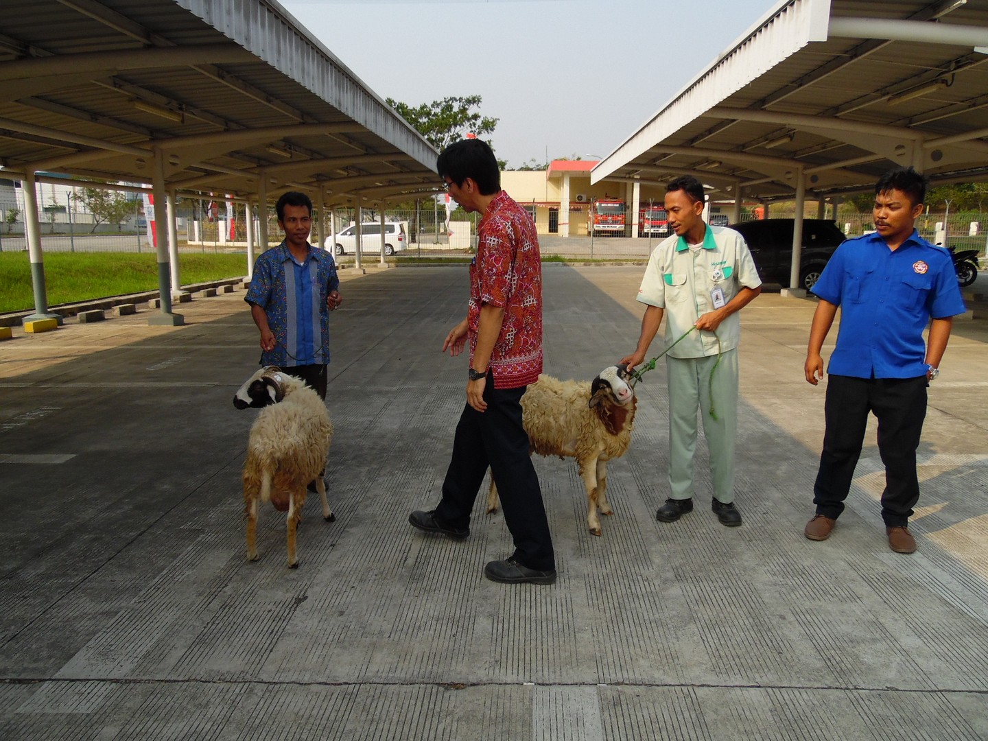 Dokumentasi Kegiatan
