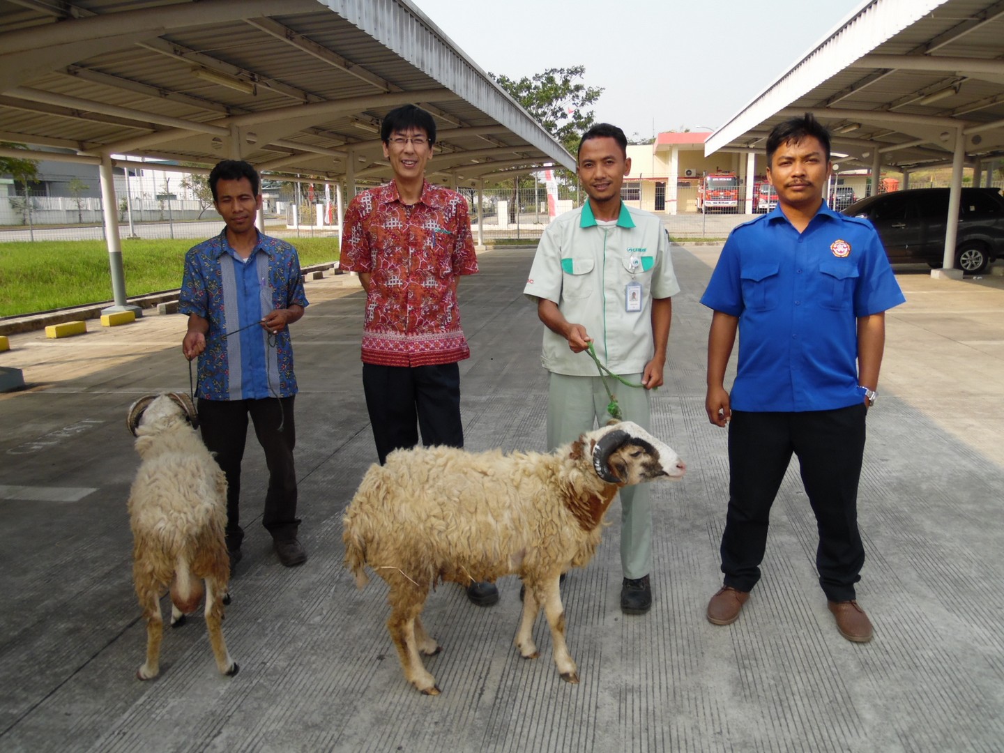 Dokumentasi Kegiatan