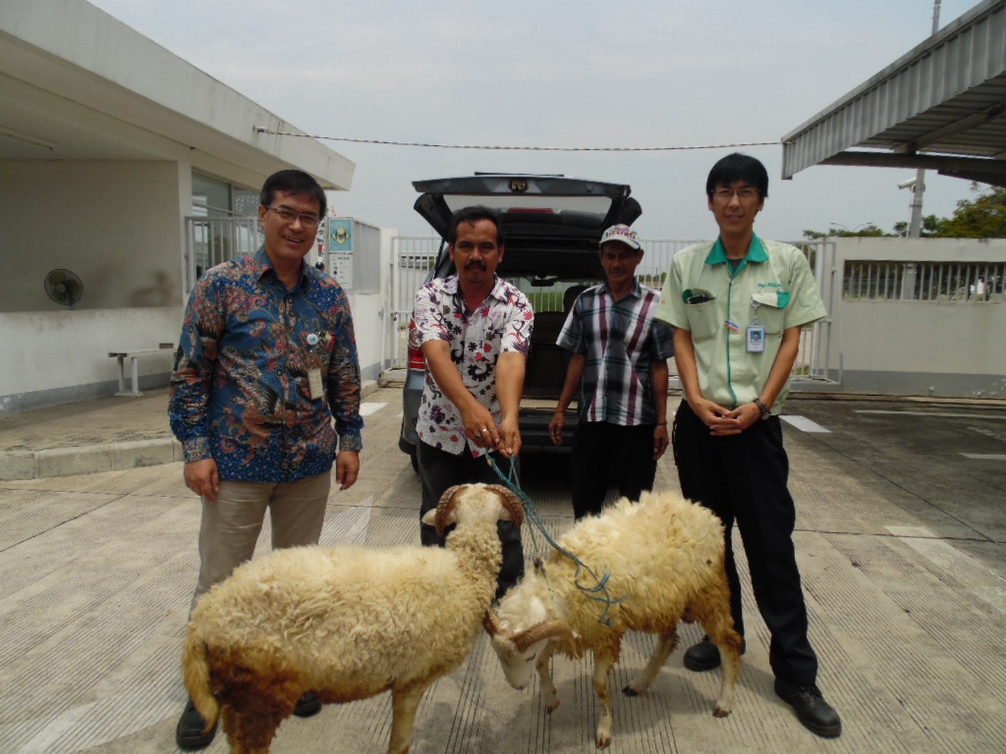 Bantuan Hewan Qurban