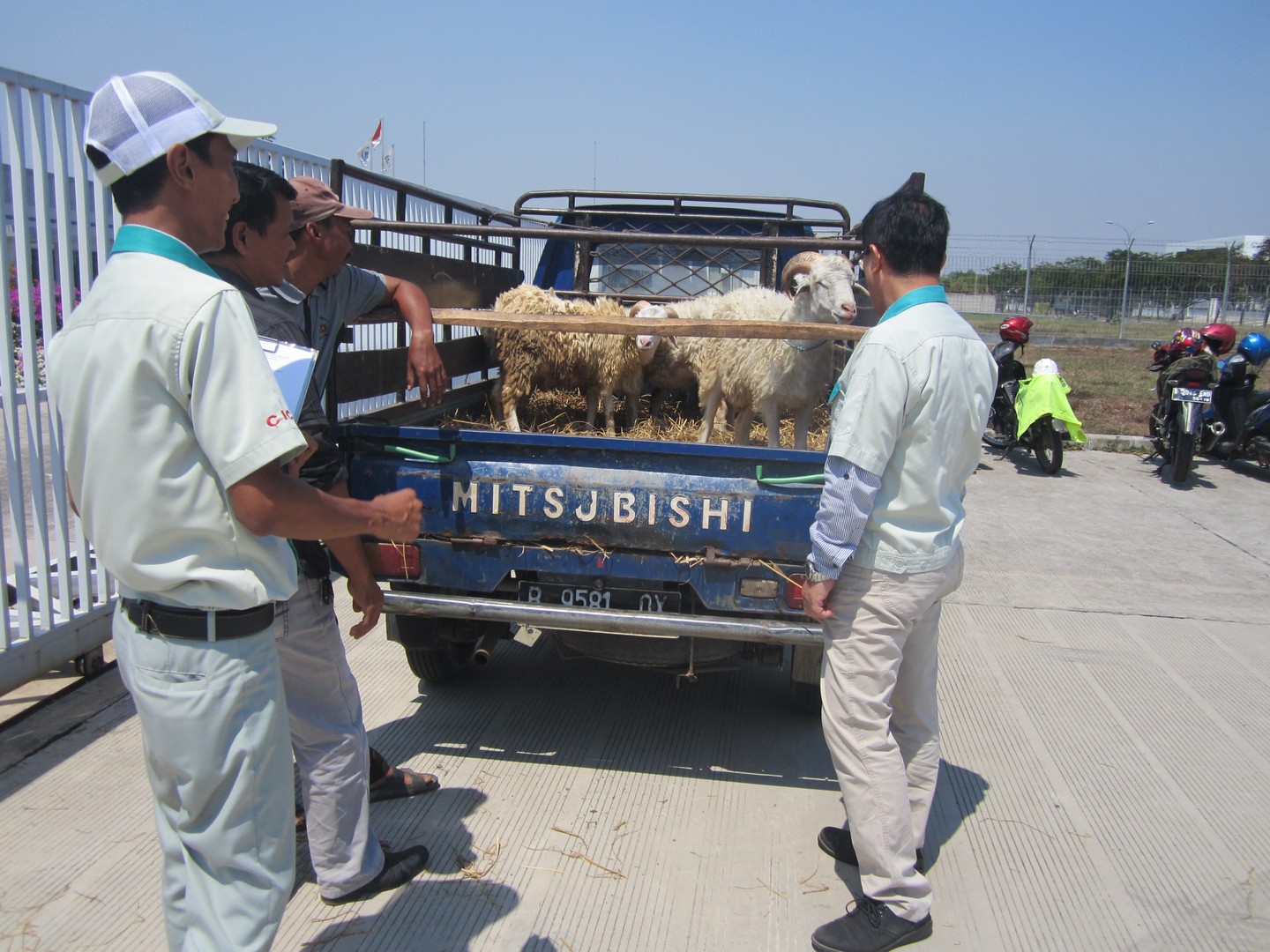 Dokumentasi Kegiatan