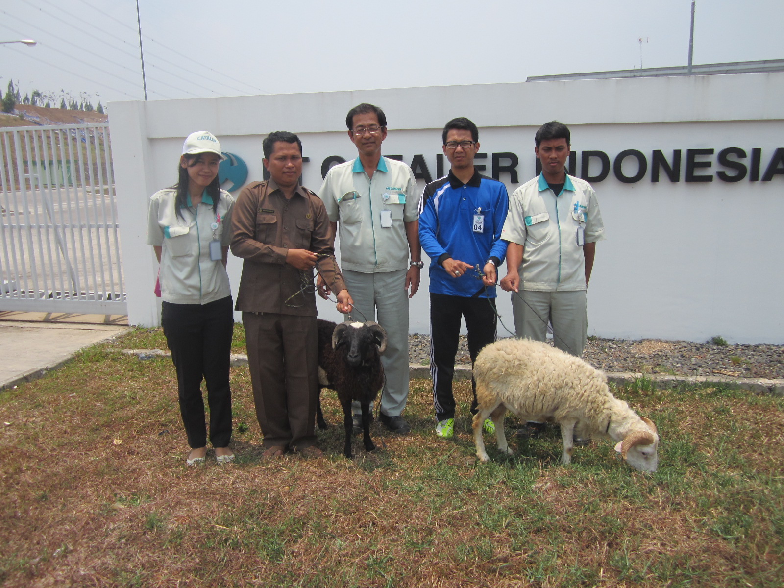 Bantuan Hewan Qurban