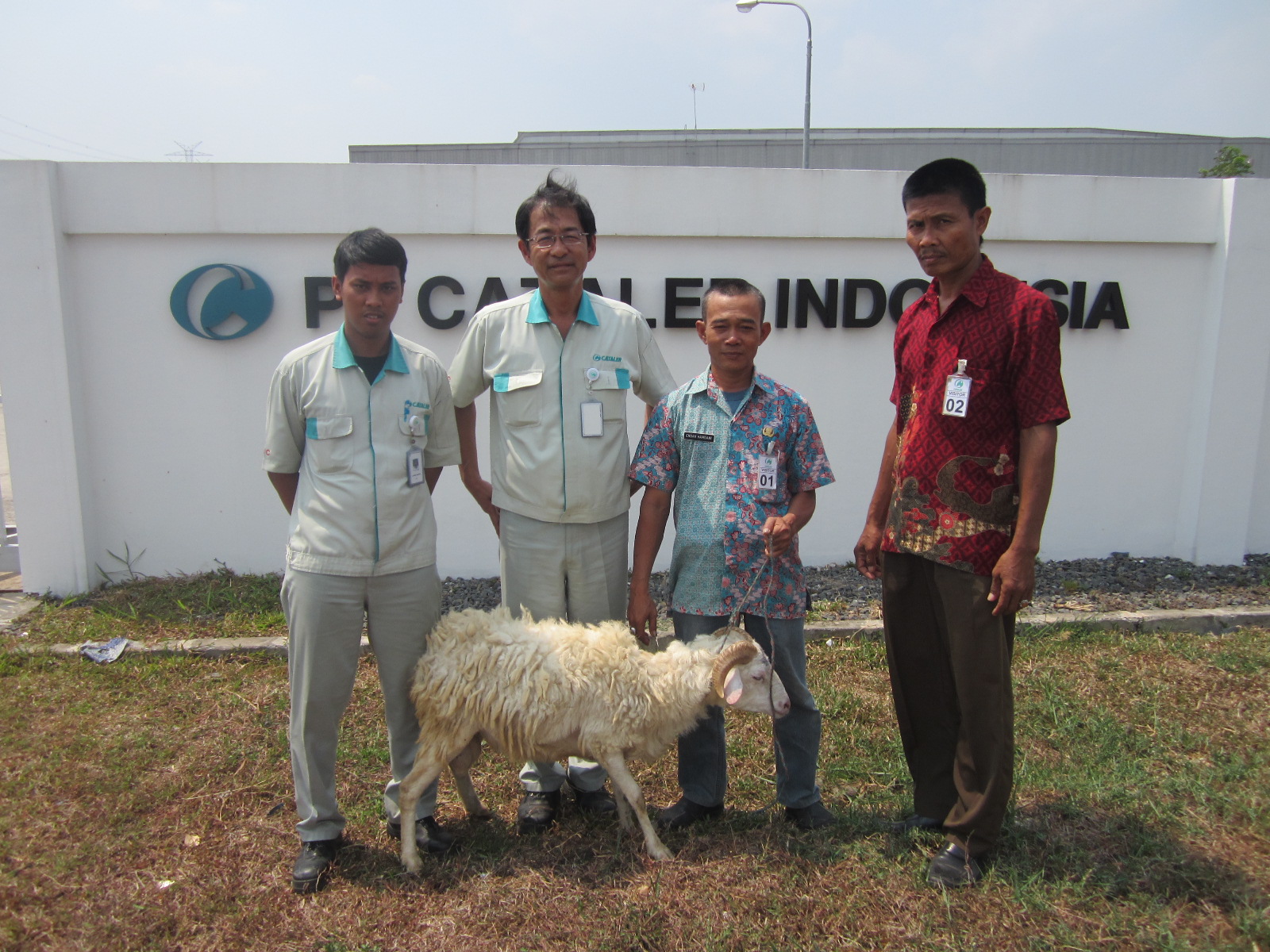 Bantuan Hewan Qurban