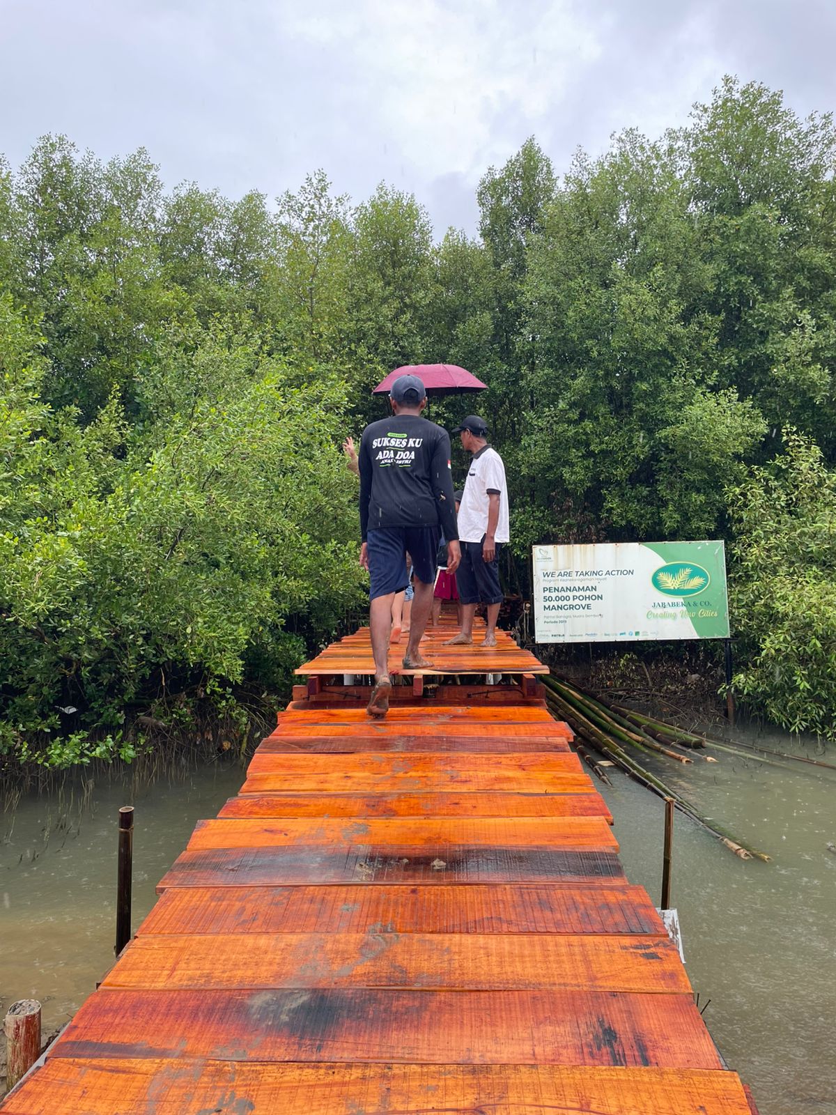 Pembangunan Mangrove Track