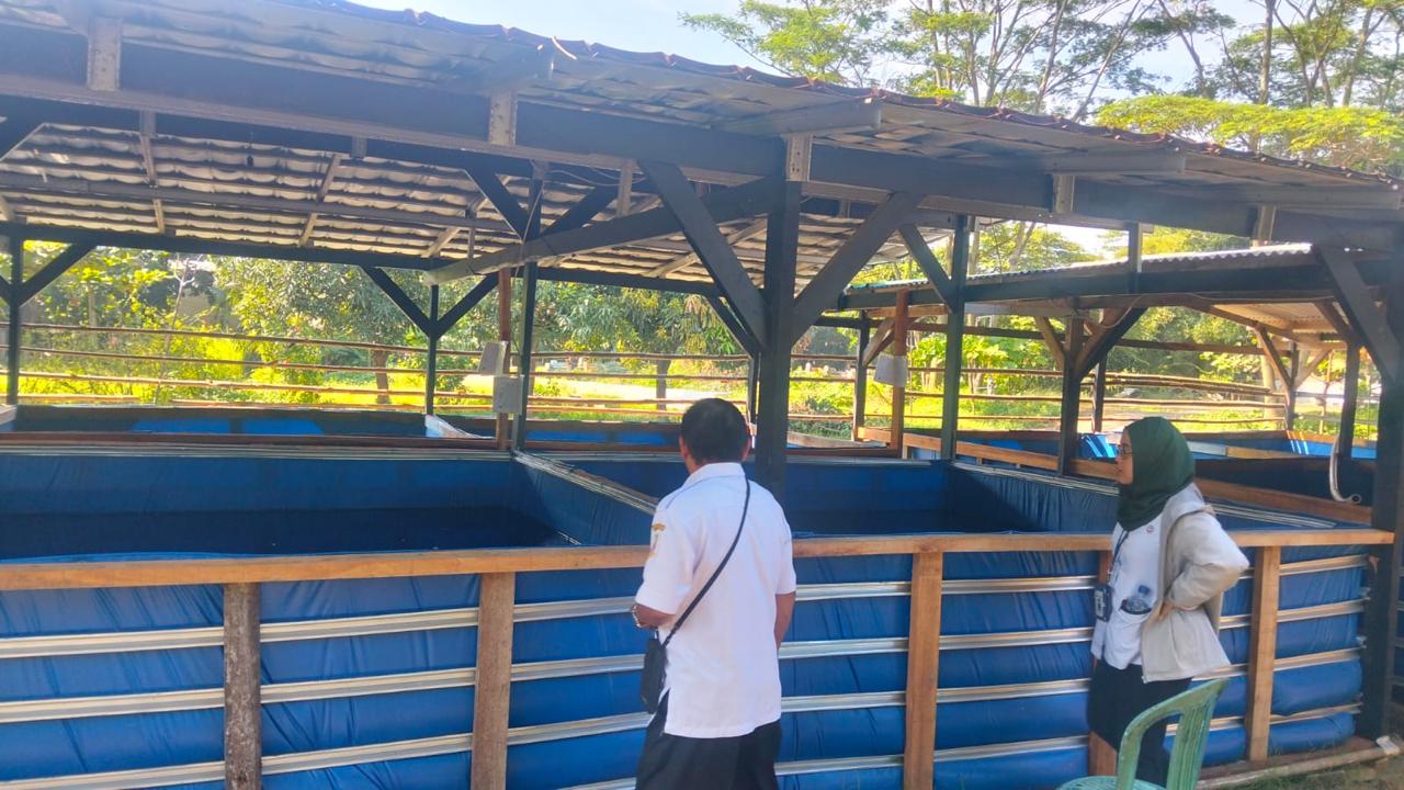 Support Peralatan Usaha UMKM Budidaya Lele Taman Limo Desa Jatiwangi
