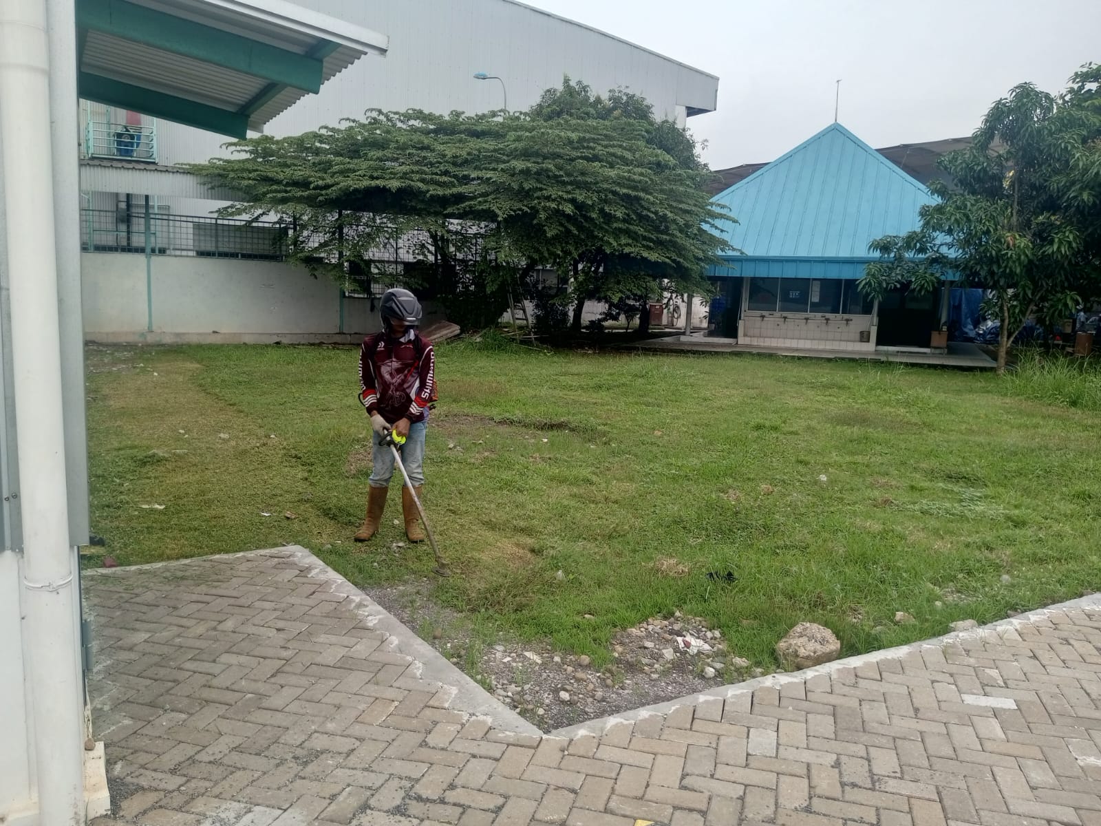 Support Sarana & Pemberdayaan Pemotongan Rumput oleh Karang Taruna Desa Jatiwangi