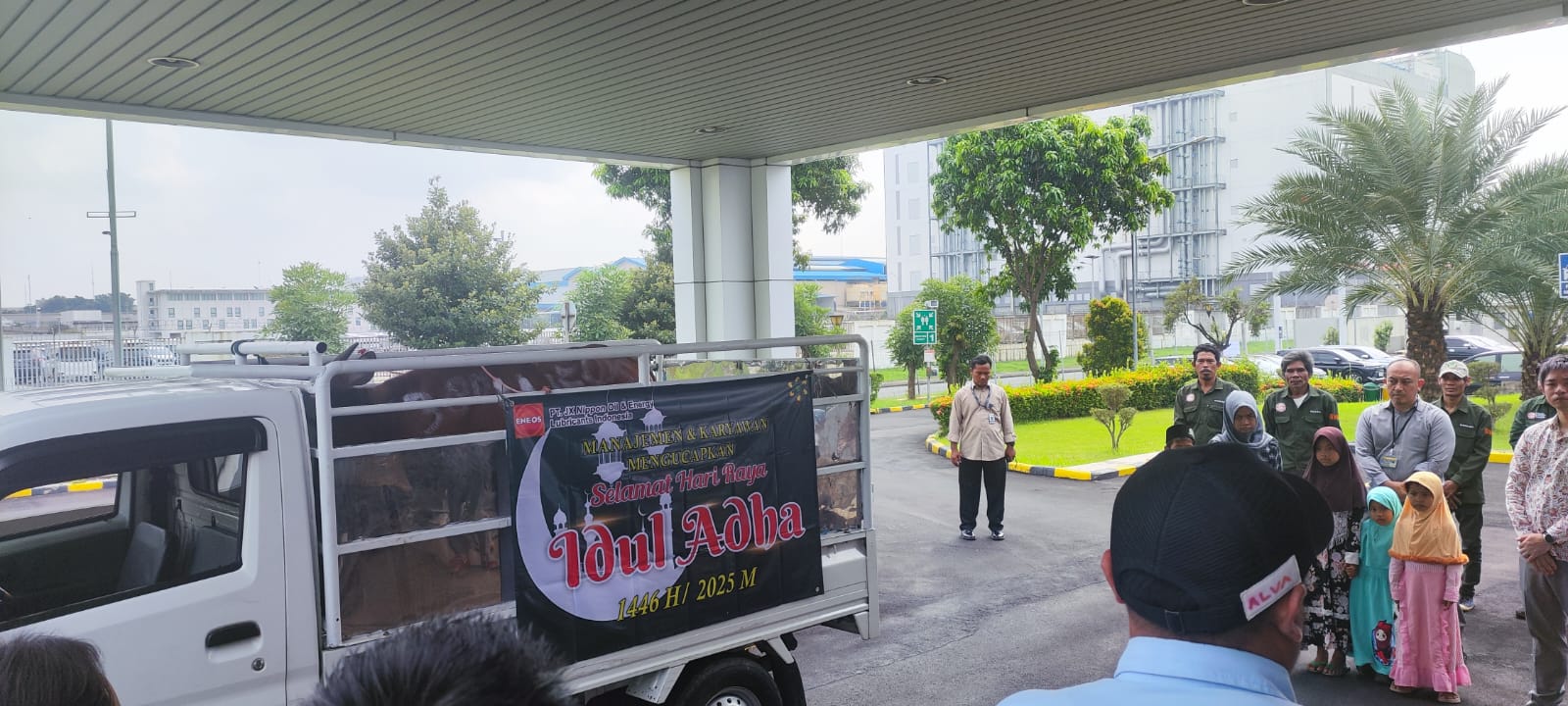 Donasi Sapi Qurban Idul Adha 2025