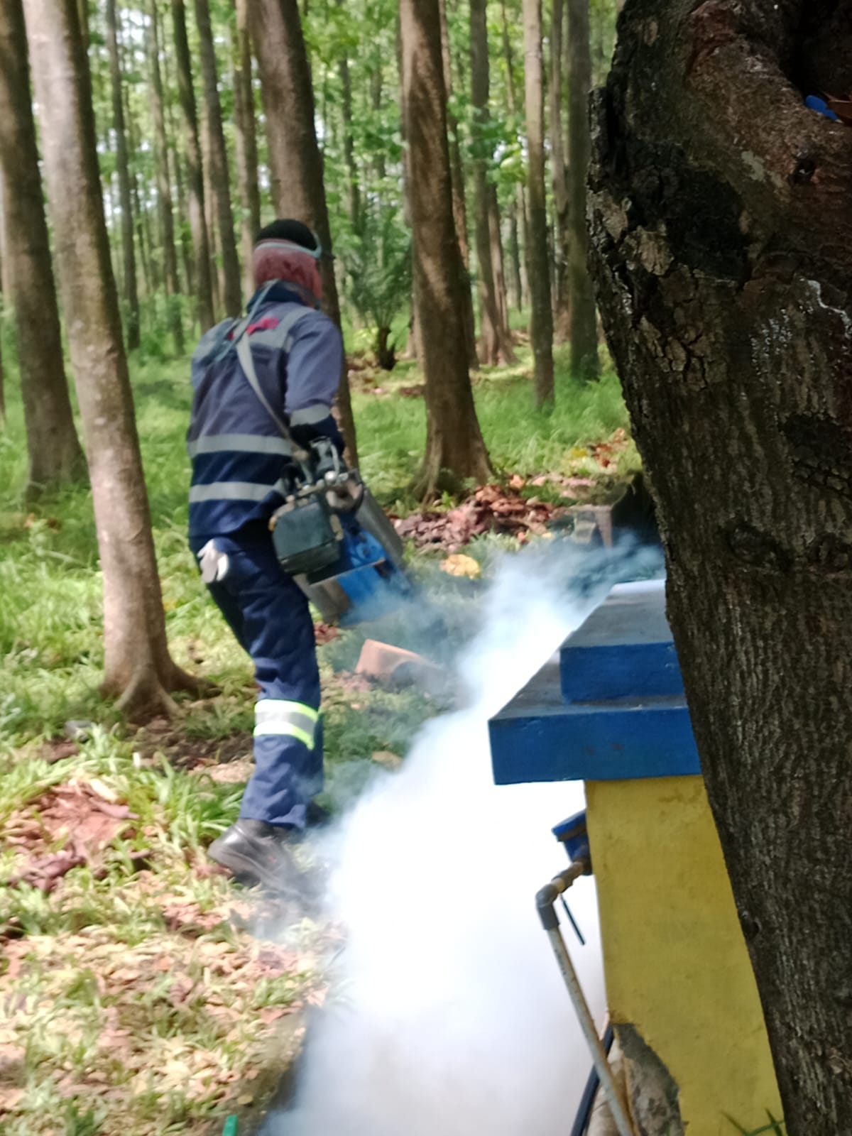 Fogging Perumahan Karyawan