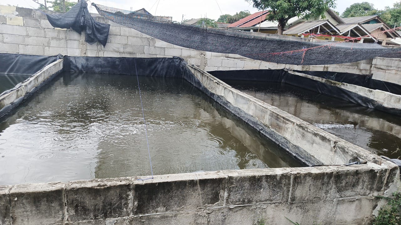 Dokumentasi Kegiatan