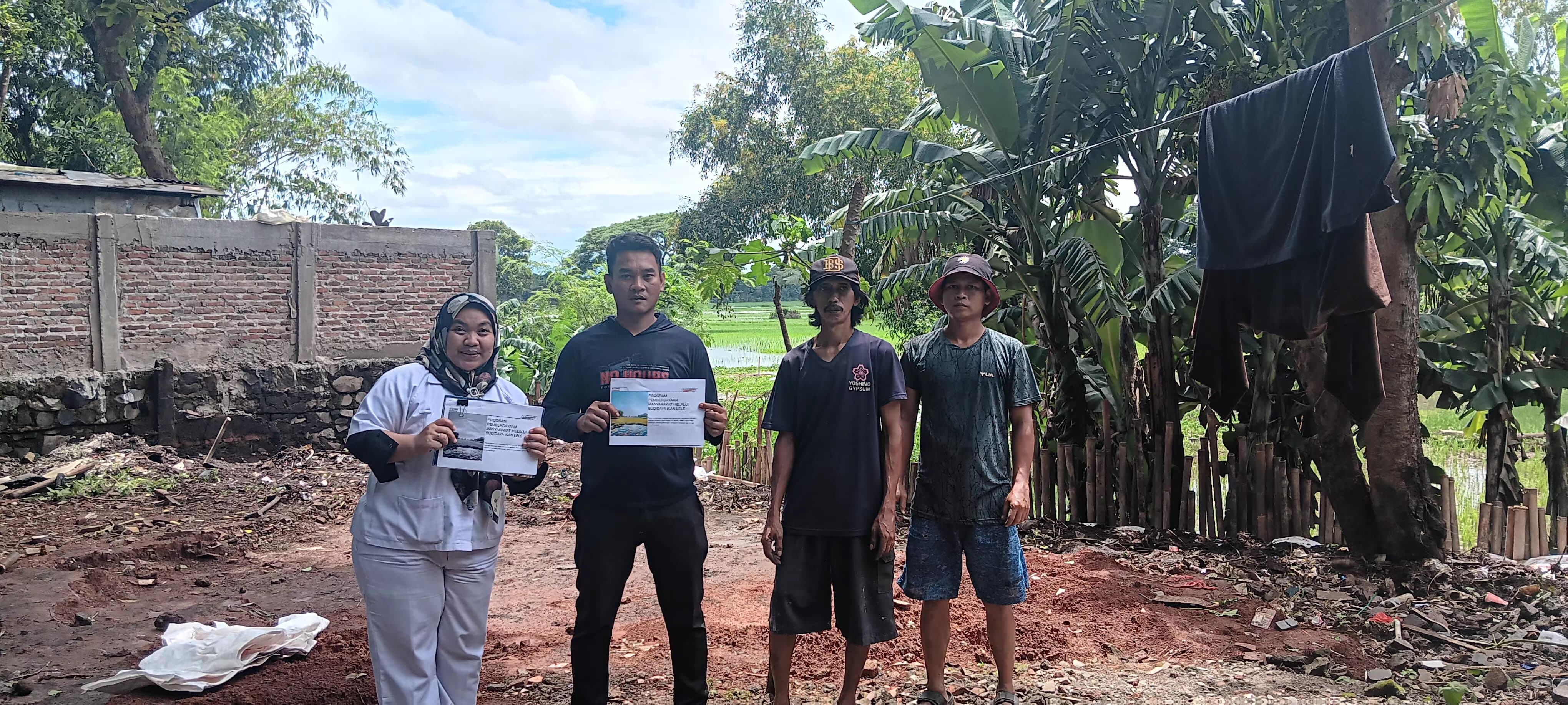 Budidaya Ikan lele