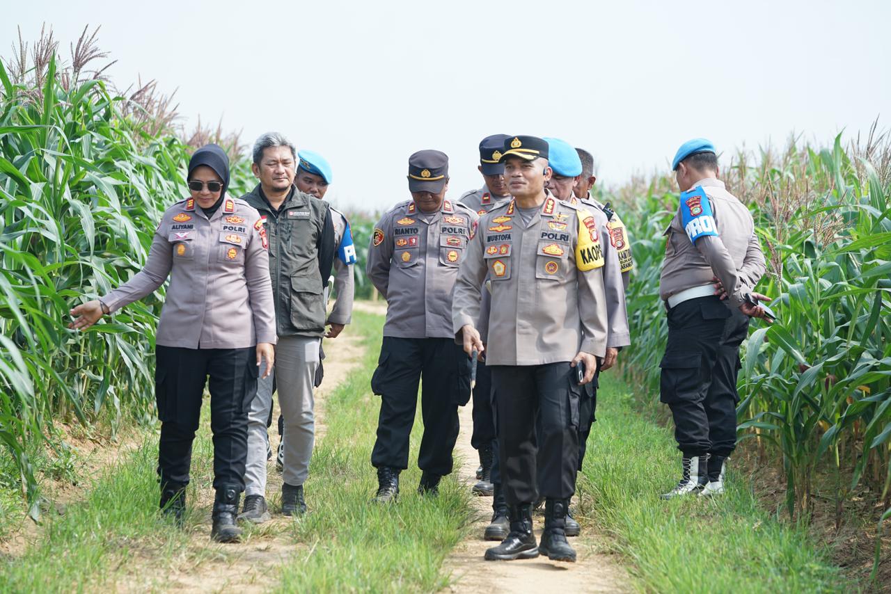 Dokumentasi Kegiatan