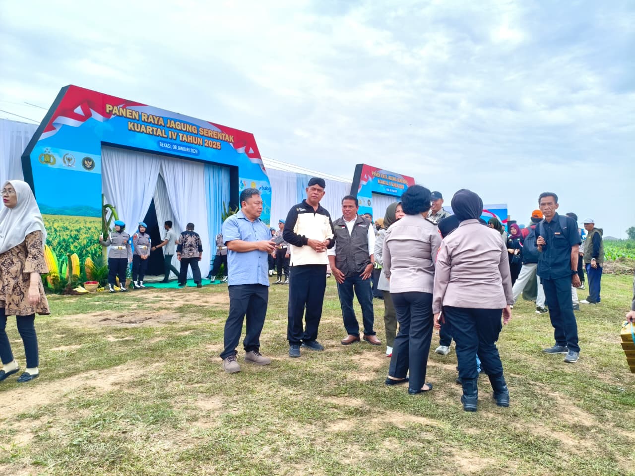 Ketahanan pangan menanam jagung