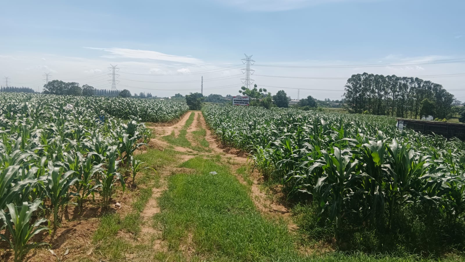 Dokumentasi Kegiatan