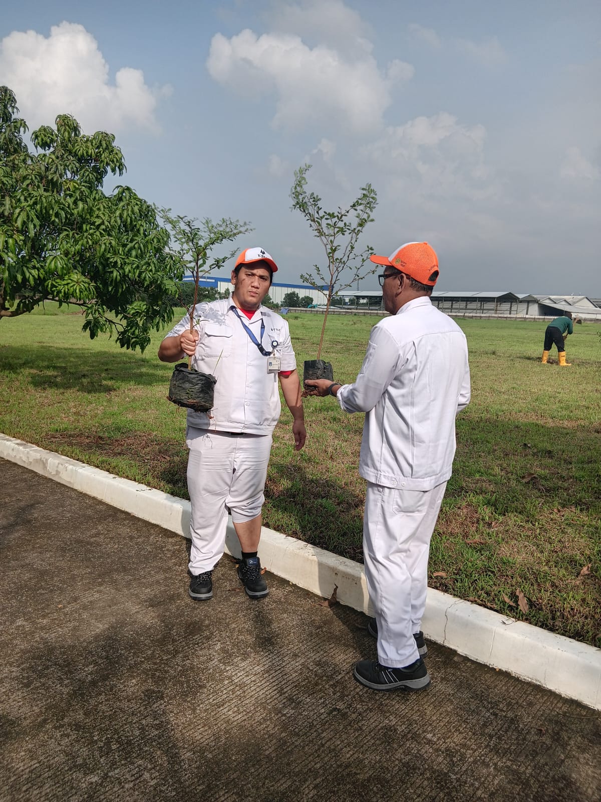 Penanaman Pohon