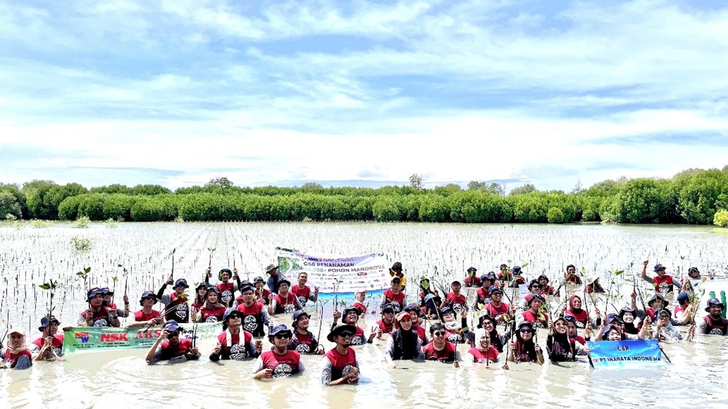 Penanaman Mangrove