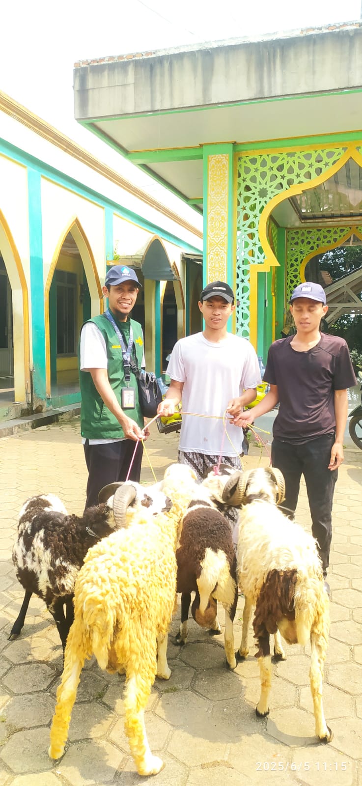 Hibah Hewan Qurban ke Jatiwangi, Telajung, dan Yayasan Baitussama'