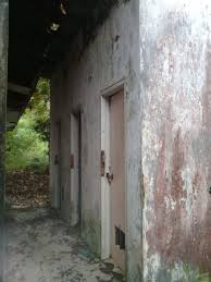 Foto Proyek